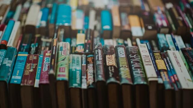 图片[2]-（1074期）小说作家带你30天写小说，靠小说赚钱，真正实用培训营！ - 副业心选-副业心选