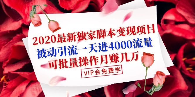 图片[2]-（1095期）2020最新独家脚本变现项目：被动引流一天进4000流量，可批量操作月赚几万 - 副业心选-副业心选