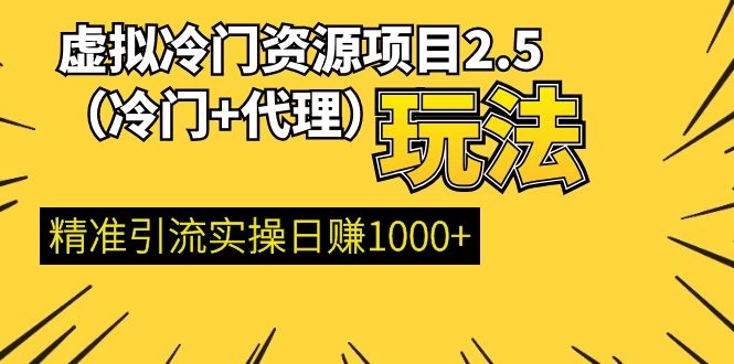 （1185期）虚拟冷门资源项目2.5（冷门&代理玩法） 精准引流实操日赚1000+(更新中)-副业心选