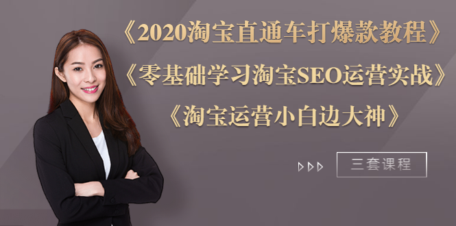 图片[2]-（1196期）《2020淘宝直通车打爆款》+《零基础学习淘宝SEO》+《淘宝运营小白变大神》 - 副业心选-副业心选