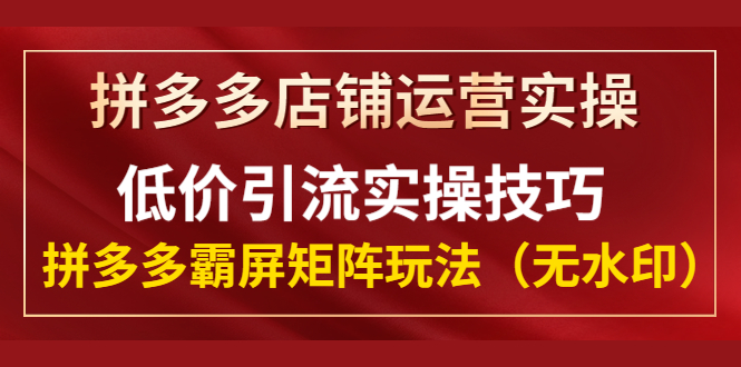 （1342期）拼多多店铺运营实操，低价引流实操技巧，拼多多霸屏矩阵玩法（无水印）-副业心选