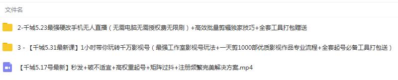 图片[3]-（1344期）1小时带你玩转千万影视号：专业起号+模板制作+1天剪1000部影视+全套工具 - 副业心选-副业心选