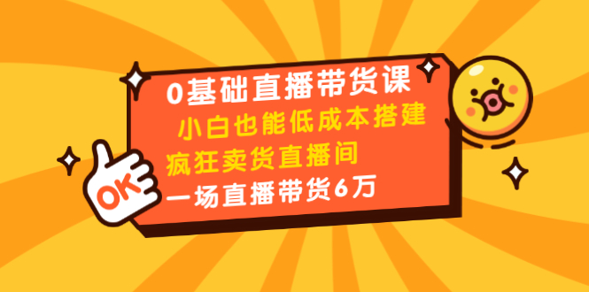 （1472期）0基础直播带货课：小白也能低成本搭建疯狂卖货直播间：1场直播带货6万-副业心选