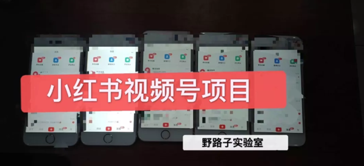 （1566期）野路子小红书课程月入过万：直接上手操作就能赚钱的视频号项目 可长久操作 - 副业心选-副业心选