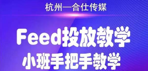 （1749期）合仕传媒Feed投放教学，手把手教学，开车烧钱必须自己会！ - 副业心选-副业心选