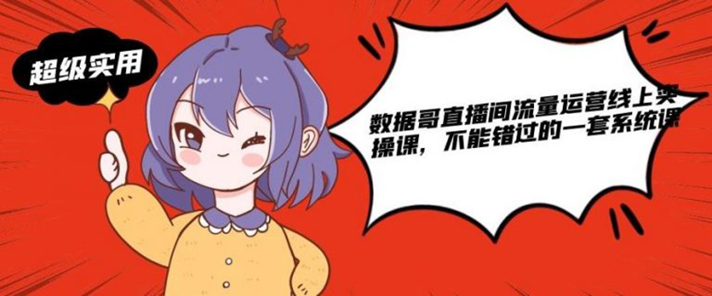 （1866期）数据哥直播间流量运营线上实操课，不能错过的一套系统课-副业心选