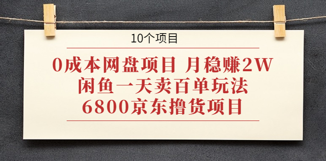 （1928期）0成本网盘项目 月稳赚2W+闲鱼一天卖百单玩法+6800京东撸货项目 (10个项目) - 副业心选-副业心选