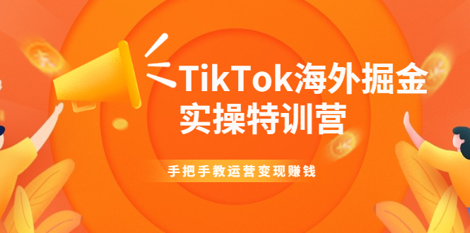 （1942期）TikTok海外掘金实操特训营：手把手教运营变现赚钱【视频课程】-副业心选
