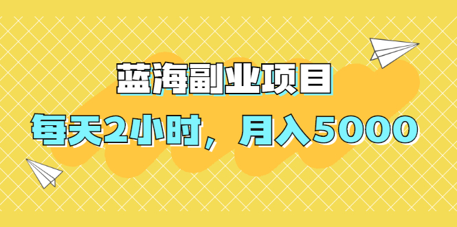 （1953期）蓝海副业项目，每天2小时，月入5000，附详细操作流程 - 副业心选-副业心选