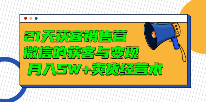 （2997期）21天获客销售营，带你微信的获客与变现  月入5W+卖货经营术-副业心选