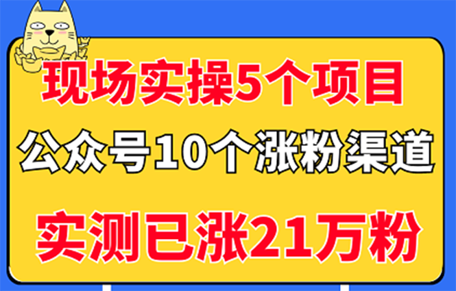 （2947期）现场实操5个公众号项目，10个涨粉渠道，实测已涨21万粉！ - 副业心选-副业心选