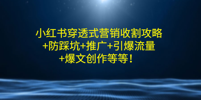 （2907期）小红书穿透式营销收割攻略+防踩坑+推广+引爆流量+爆文创作等等！ - 副业心选-副业心选