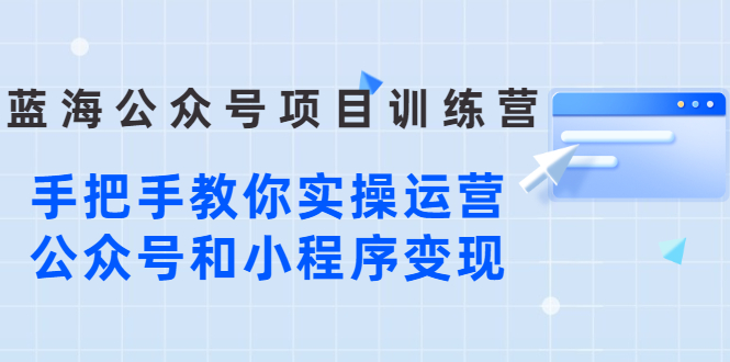 （2633期）蓝海公众号项目训练营，手把手教你实操运营公众号和小程序变现 - 副业心选-副业心选