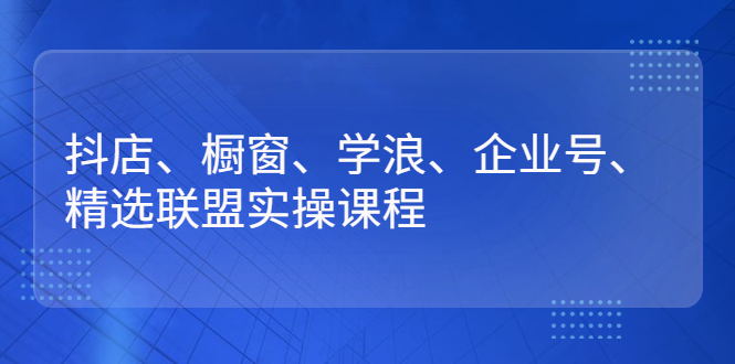 （2640期）抖店、橱窗、学浪、企业号、精选联盟实操课程 - 副业心选-副业心选