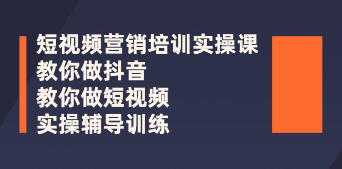 （2626期）短视频营销培训实操课：教你做抖音，教你做短视频，实操辅导训练 - 副业心选-副业心选