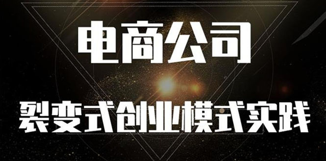 （2562期）《电商公司裂变式创业模式实践》开拓更多项目 赚更多的钱 - 副业心选-副业心选