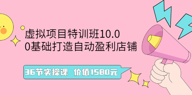 （2497期）虚拟项目特训班10.0，0基础打造自动盈利店铺 36节实操课 - 副业心选-副业心选