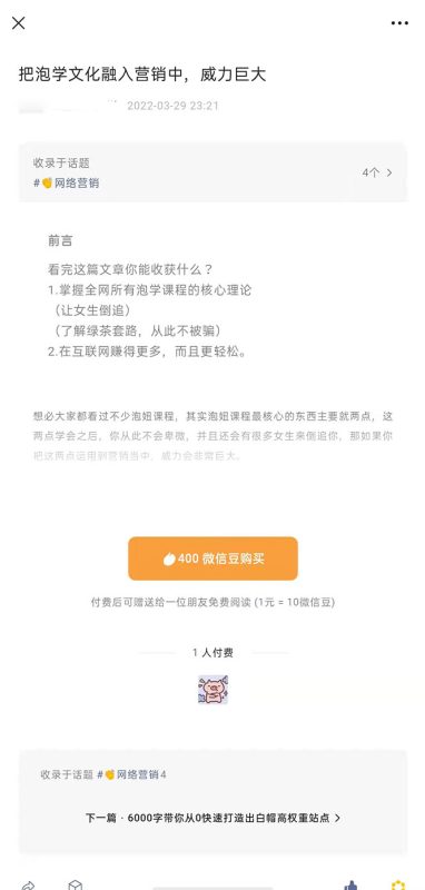 （2483期）把泡学文化融入营销中，威力巨大（某付费文章）-副业心选
