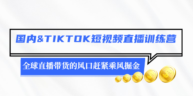 （2478期）国内&TIKTOK短视频直播训练营，全球直播带货的风口赶紧乘风掘金-副业心选