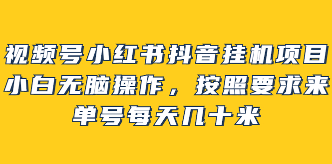 （2437期）视频号小红书抖音挂机项目，小白无脑操作，按照要求来，单号每天几十米 - 副业心选-副业心选
