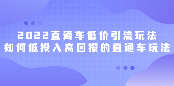 （2415期）2022直通车低价引流玩法，教大家如何低投入高回报的直通车玩法-副业心选