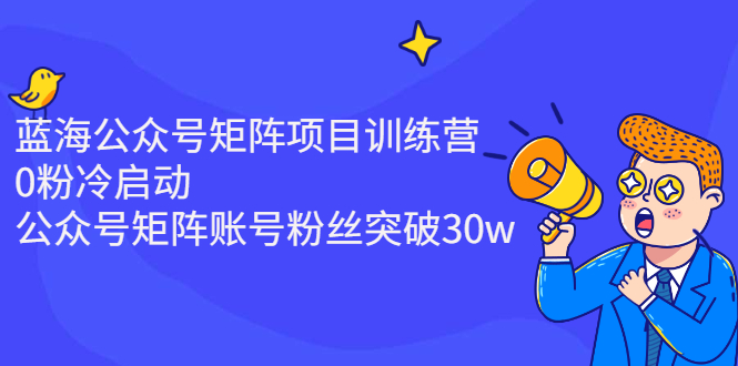 （2405期）蓝海公众号矩阵项目训练营，0粉冷启动，公众号矩阵账号粉丝突破30w - 副业心选-副业心选