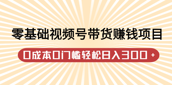 （2414期）零基础视频号带货赚钱项目，0成本0门槛轻松日入300+【视频教程】 - 副业心选-副业心选