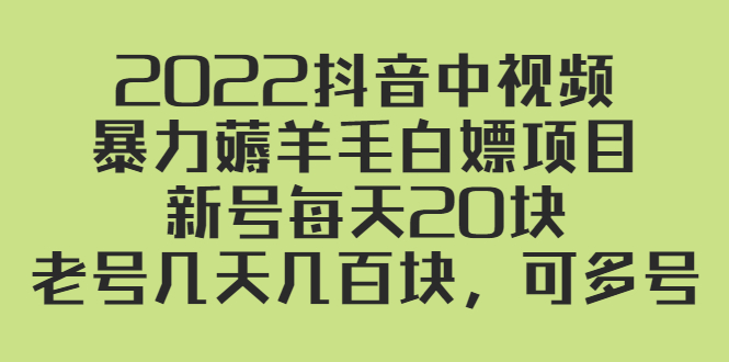 （2402期）2022抖音中视频暴力薅羊毛白嫖项目：新号每天20块，老号几天几百块，可多号 - 副业心选-副业心选