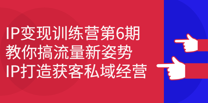 （2351期）IP变现训练营第6期：教你搞流量新姿势，IP打造获客私域经营 - 副业心选-副业心选