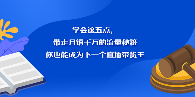 （2326期）学会这五点，带走月销千万的流量秘籍，你也能成为下一个直播带货王 - 副业心选-副业心选