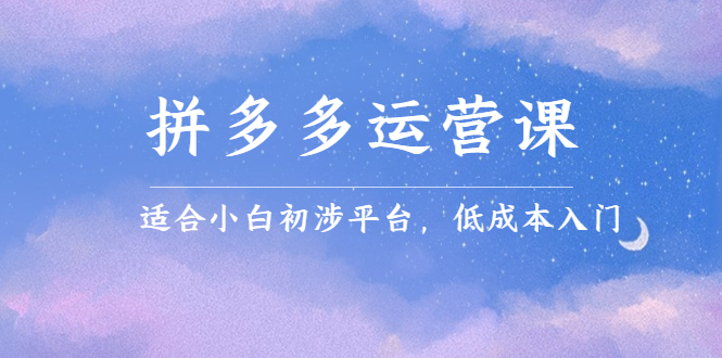 （2323期）拼多多运营课，适合小白初涉平台，低成本入门 创造销量和利润的方法-副业心选