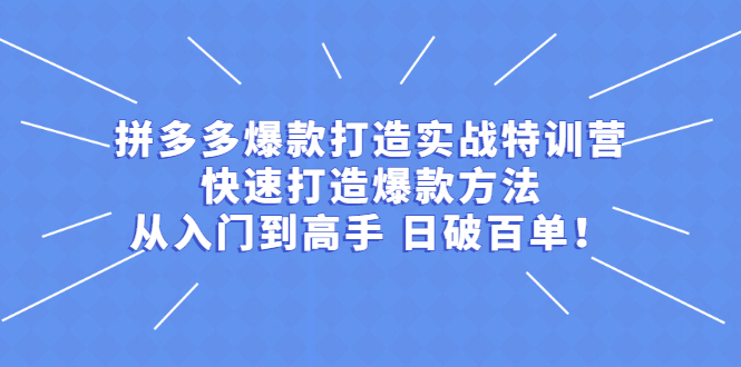 （2237期）拼多多爆款打造实战特训营：快速打造爆款方法，从入门到高手 日破百单-副业心选