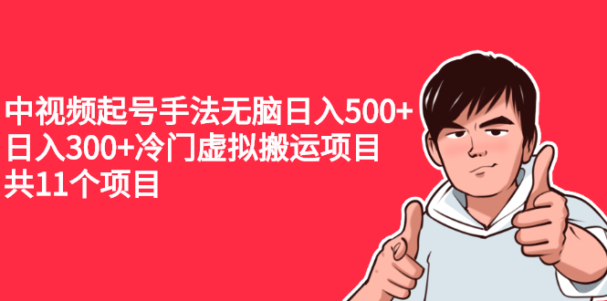 （2224期）中视频起号手法无脑日入500+日入300+冷门虚拟搬运项目（共11个项目）-副业心选