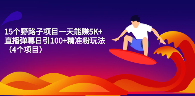 （2213期）15个野路子项目一天能赚5K+直播弹幕日引100+精准粉玩法（4个项目） - 副业心选-副业心选