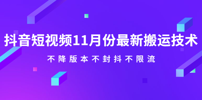 （2141期）抖音短视频11月份最新搬运技术，不降版本不封抖不限流！【视频课程】-副业心选