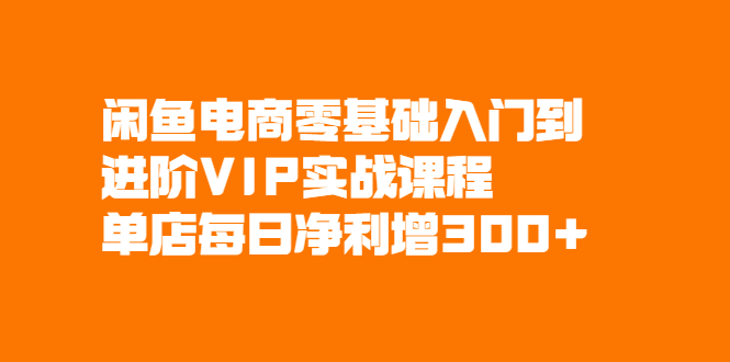 （2082期）闲鱼电商零基础入门到进阶VIP实战课程，单店每日净利增300+-副业心选