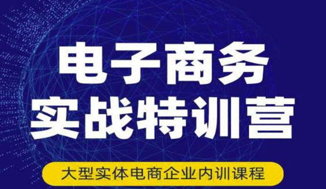 （3101期）电子商务实战特训营，全方位带你入门电商，308种方式玩转电商-副业心选
