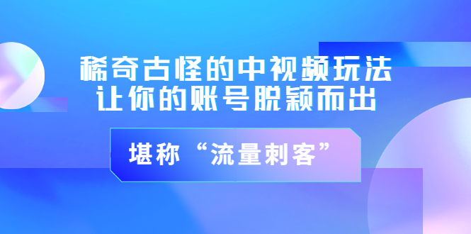 （3159期）稀奇古怪的中视频玩法，让你的账号脱颖而出，堪称“流量刺客”（图文+视频)-副业心选