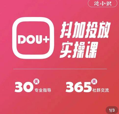 图片[2]-（3190期）泛小识精品课系列：抖加投放实操课，干货慢慢，新手必学（12节视频课） - 副业心选-副业心选