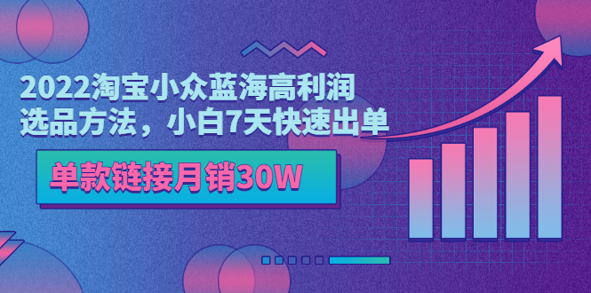 （3208期）2022淘宝小众蓝海高利润选品方法，小白7天快速出单，单款链接月销30W - 副业心选-副业心选