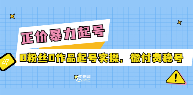（3377期）正价暴力起实操号：0粉丝0作品起号实操，微付费稳号 - 副业心选-副业心选