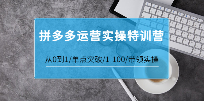 （3417期）青云:拼多多运营实操特训营：从0到1/单点突破/1-100/带领实操 - 副业心选-副业心选