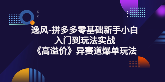 （3435期）逸风-拼多多零基础新手小白入门到玩法实战《高溢价》异赛道爆单玩法实操课 - 副业心选-副业心选