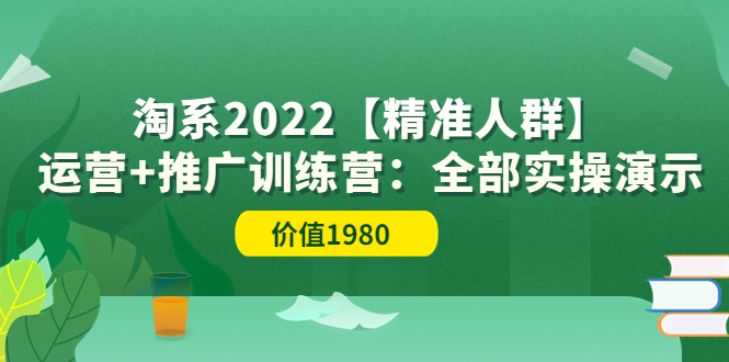 （3516期）淘系2022【精准人群】运营+推广训练营：全部实操演示-副业心选
