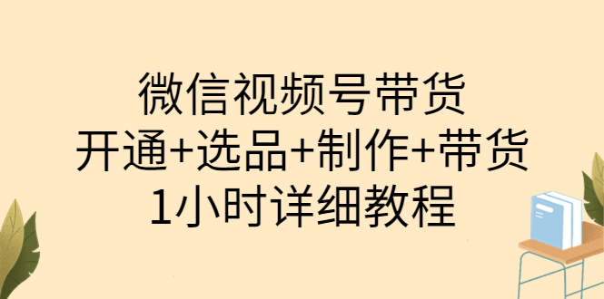 （3515期）陈奶爸·微信视频号带货：开通+选品+制作+带货（1小时详细教程） - 副业心选-副业心选