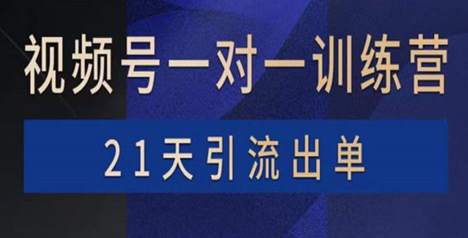 （3678期）视频号训练营：带货，涨粉，直播，游戏，四大变现新方向，21天引流出单 - 副业心选-副业心选