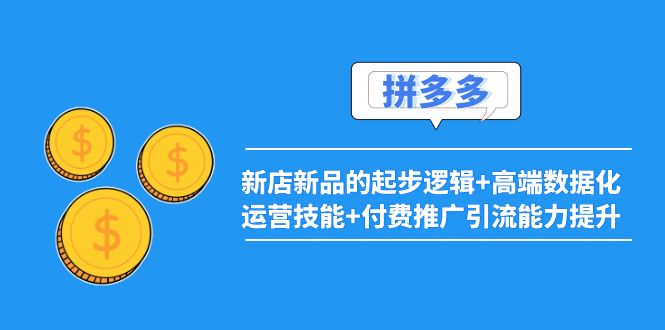（3824期）2022拼多多：新店新品的起步逻辑+高端数据化运营技能+付费推广引流能力提升 - 副业心选-副业心选