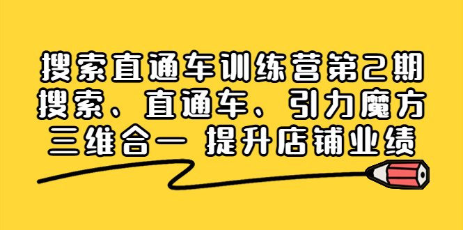 （3856期）搜索直通车训练营第2期：搜索、直通车、引力魔方三维合一 提升店铺业绩！-副业心选