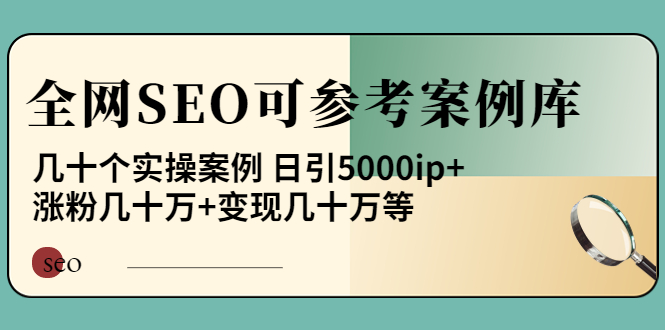 （3834期）《全网SEO可参考案例库》几十个实操案例 日引5000ip+涨粉百W+变现几十W等! - 副业心选-副业心选