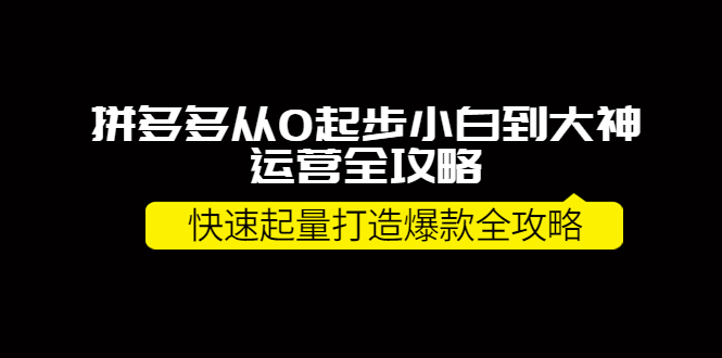 （3884期）拼多多从0起步小白到大神运营全攻略，快速起量打造10W+爆款全攻略！ - 副业心选-副业心选